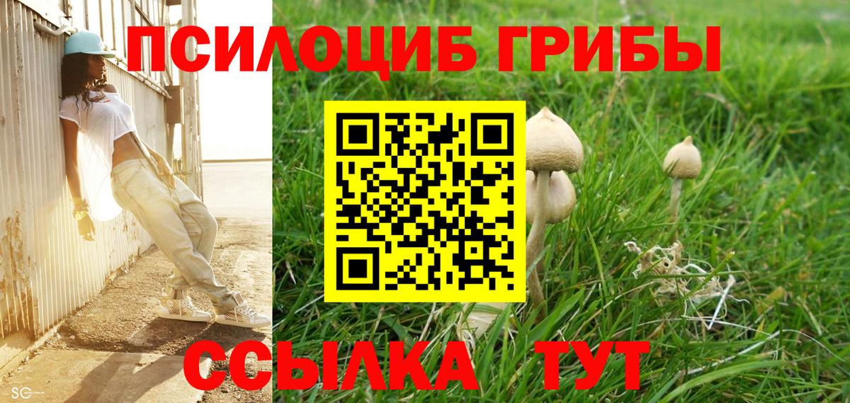 Галлюциногенные грибы ЛСД  Галлюциногенные грибы Psilocybe  Вход с VPN  Кизляр 