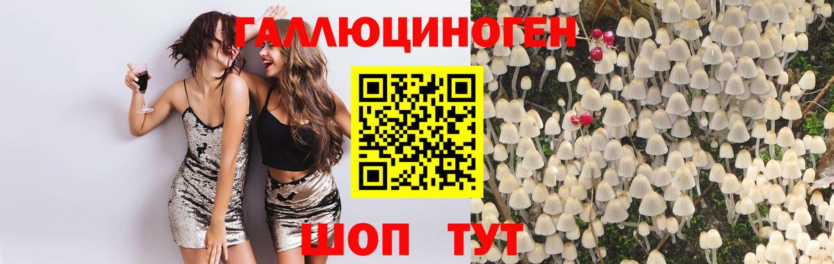 Псилоцибиновые грибы MAGIC MUSHROOMS Кизляр