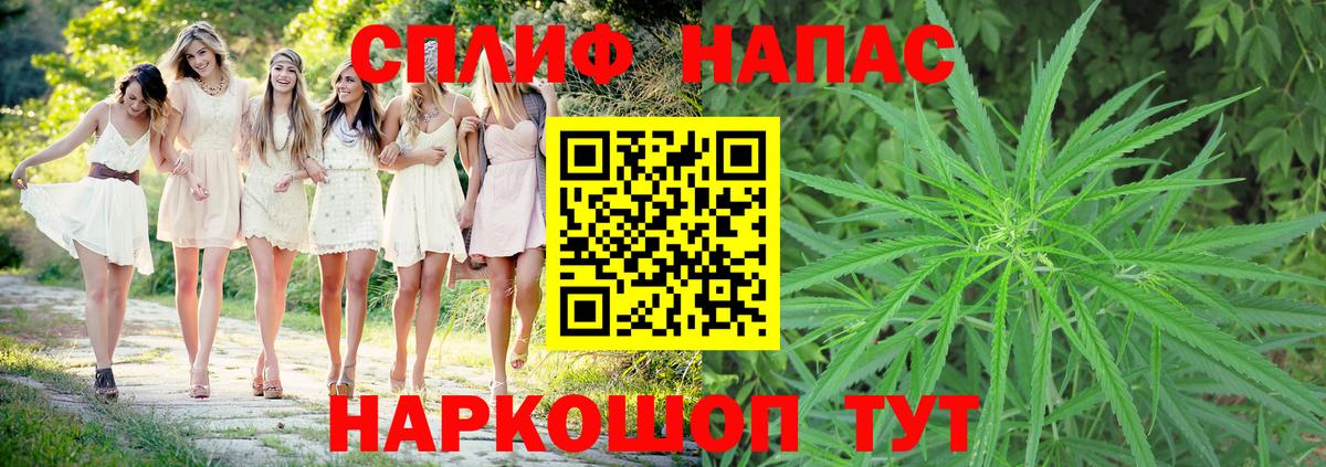 Шишки марихуана семена  Канабис план  МАРИХУАНА план  Вход с VPN  Кизляр  Конопля AK-47 